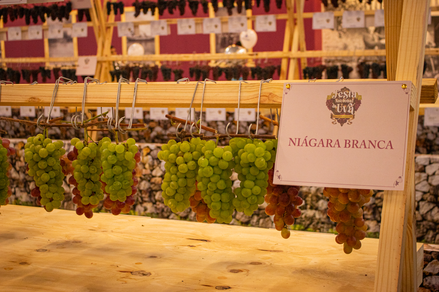 Festa da Uva 2026 celebra os 150 anos da imigração italiana