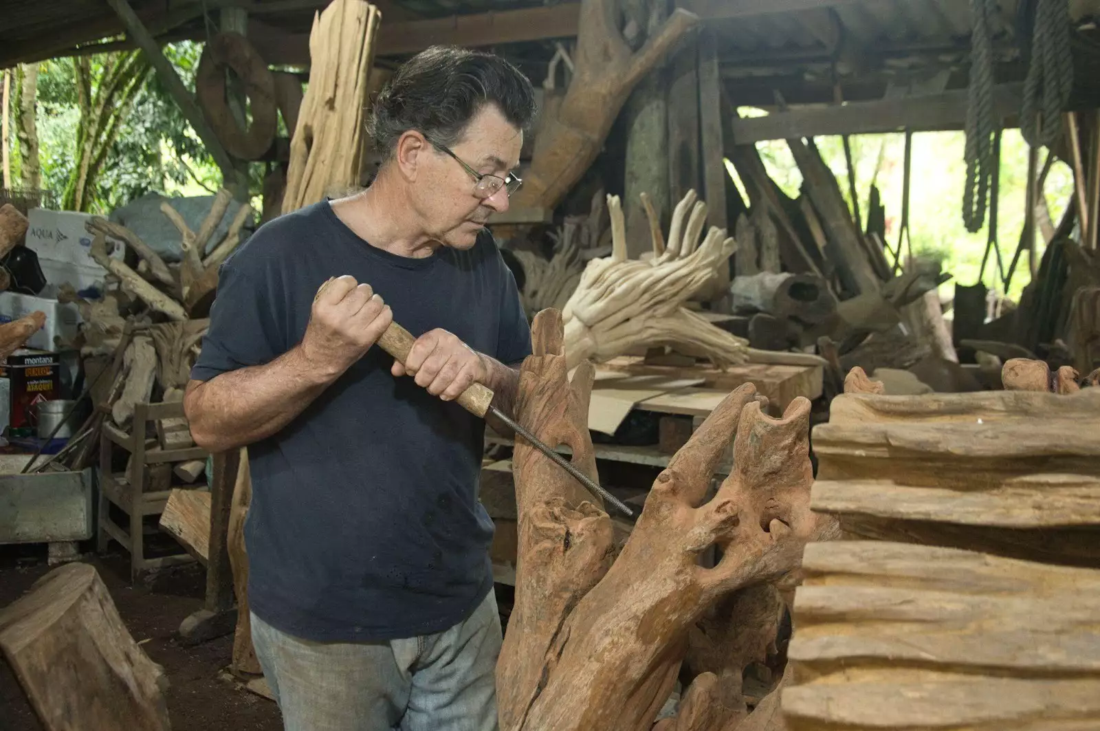 Galeria de arte de Porto Alegre recebe escultor especializado no uso da madeira de árvores caídas