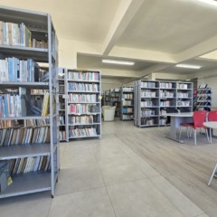 Foto: Biblioteca/Divulgação