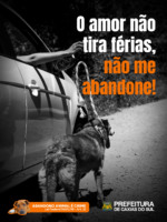 Caxias do Sul lança a campanha 'O Amor não tira férias, não me abandone'