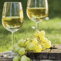 Foto: Divulga&ccedil;&atilde;o