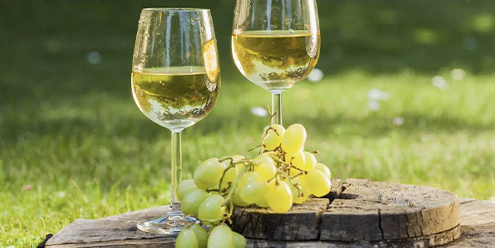 Vinícola Garibaldi conquista medalhas de ouro na 1ª Seleção de Vinhos BRS Lorena