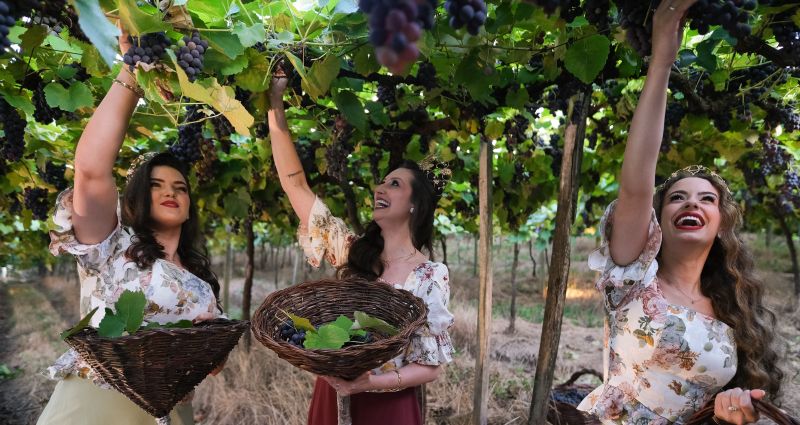 Veraneio da Vindima de Garibaldi tem data divulgada