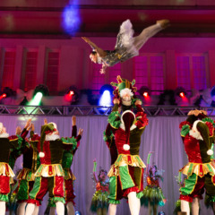 Foto: Divulgação/Crédito Giovani Boff