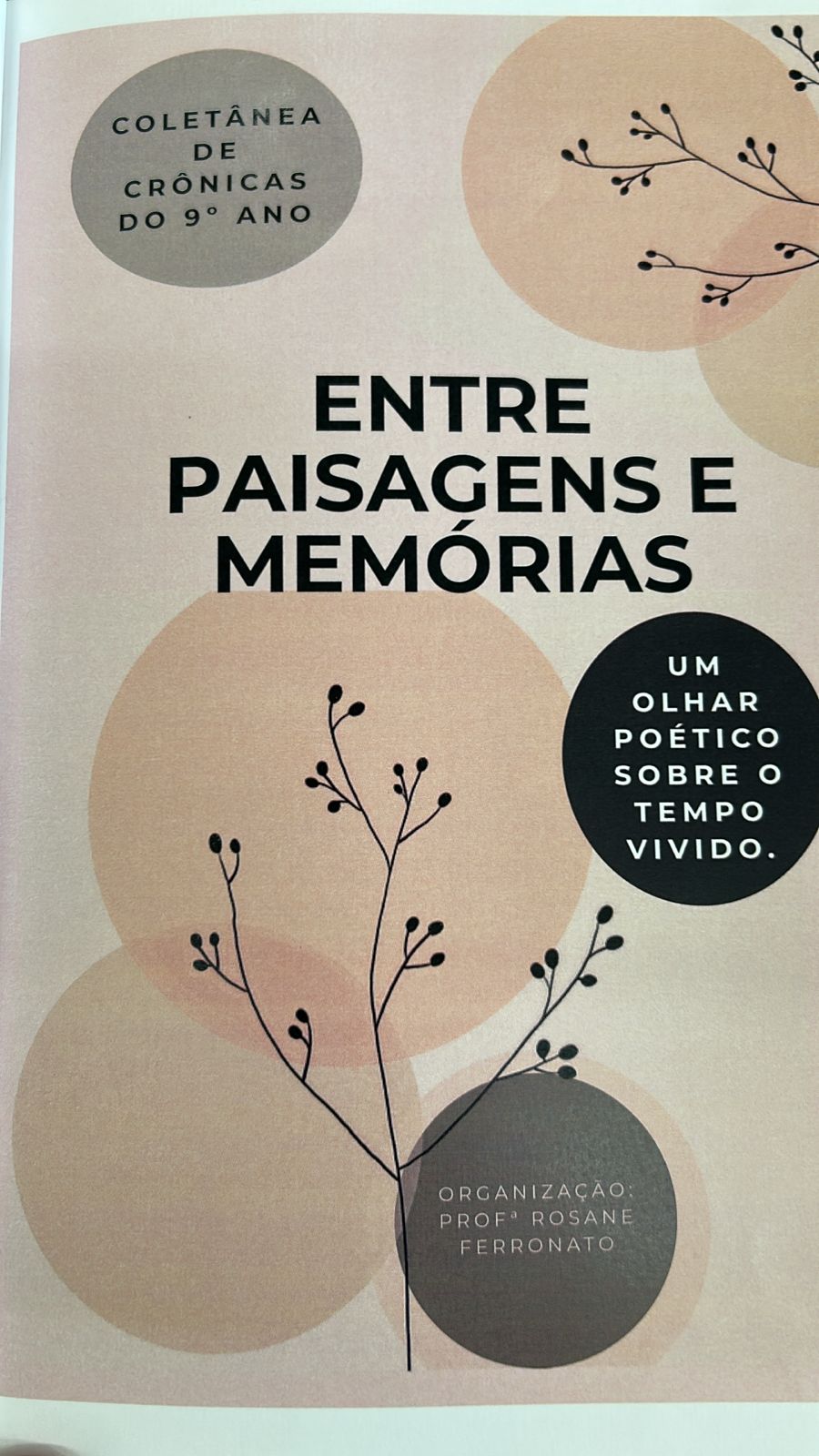 Estudantes de Bento Gonçalves publicam livro sobre as vivências do Ensino Fundamental