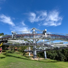 Foto: Divulga&ccedil;&atilde;o