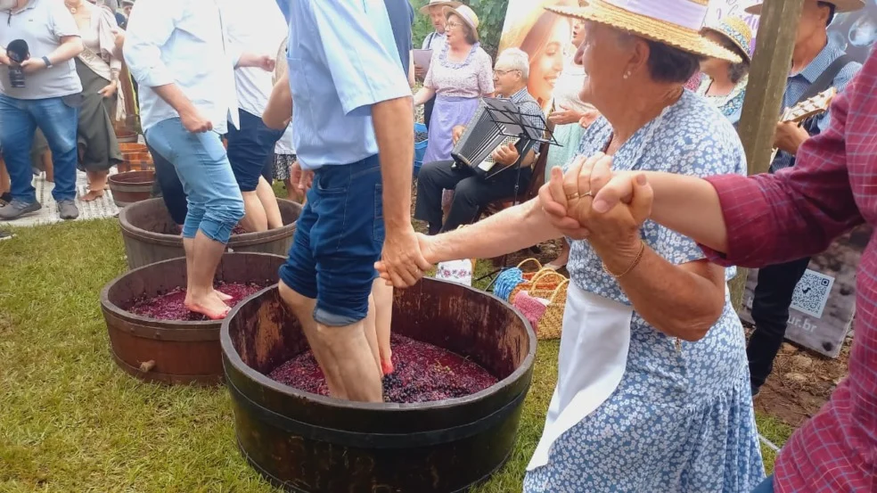 Vindima é aberta em Bento Gonçalves com celebração da colheita da uva