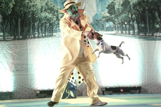 Foto: Meu Melhor Amigo/Crédito VT Fotografia