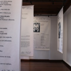 Foto: Divulga&ccedil;&atilde;o