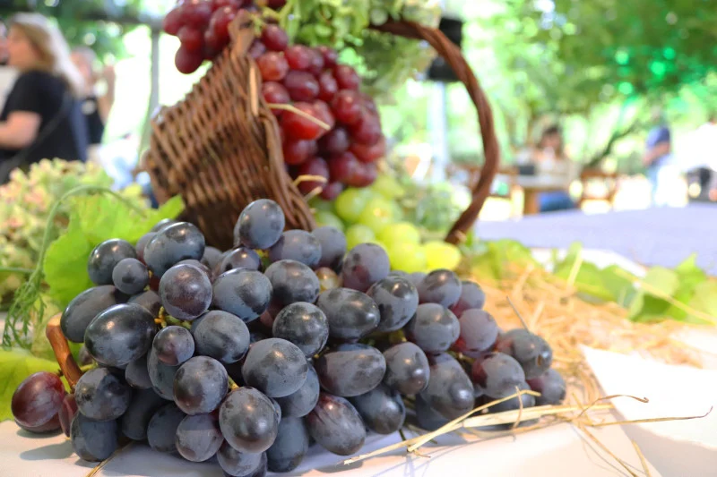 Veraneio da Vindima inicia nesta semana em Garibaldi