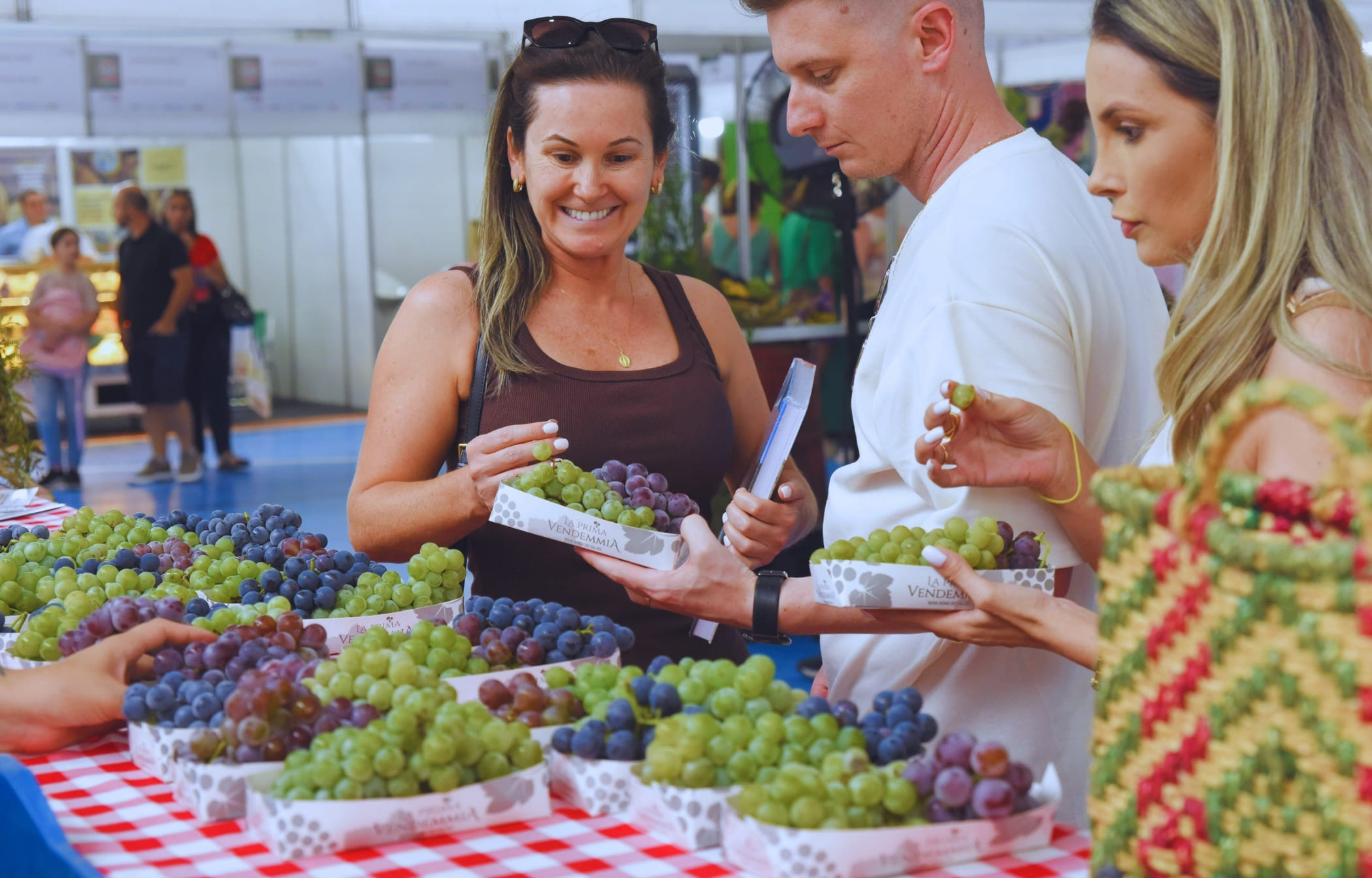 ‘La Prima Vendemmia’ abre a safra em Nova Roma do Sul